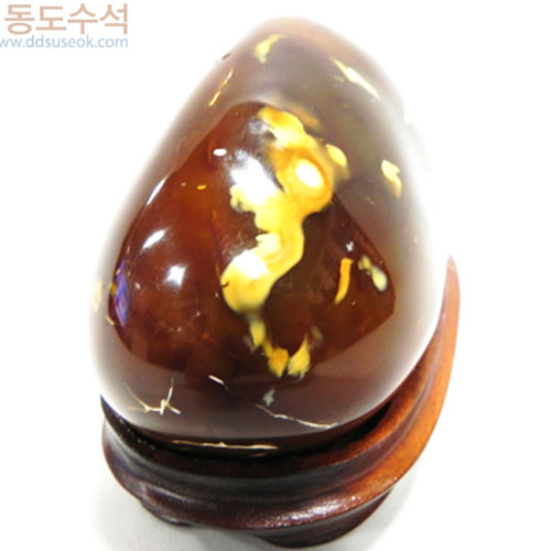 산장법사와원승이