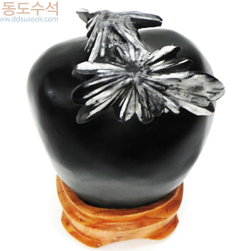 국화석(중국보호석)