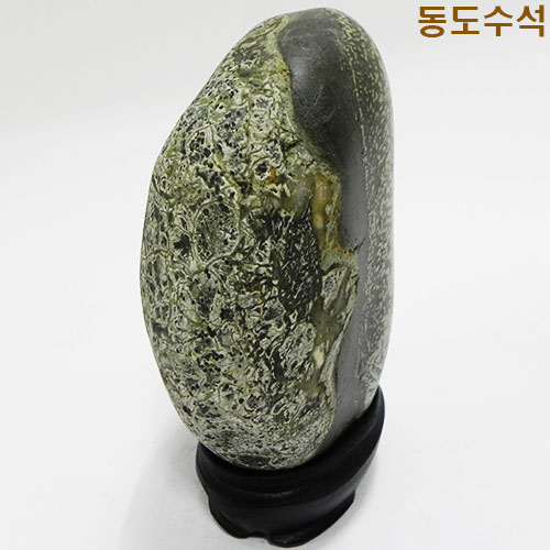 매일꽃밭