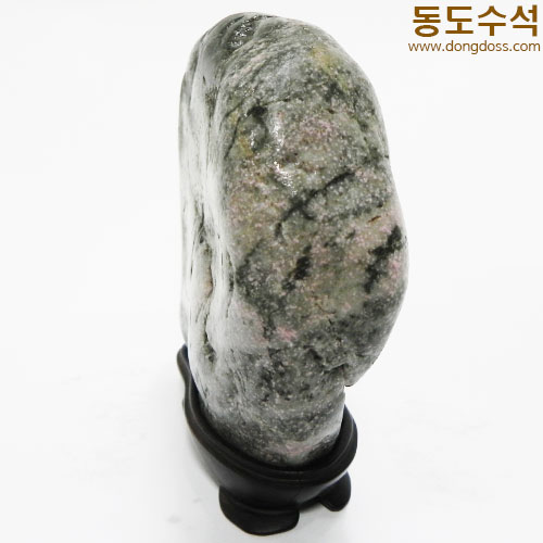 봄풍경(진달래와나무)