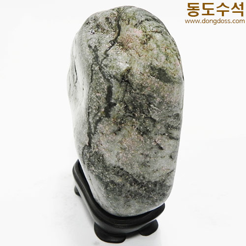 봄풍경(진달래와나무)