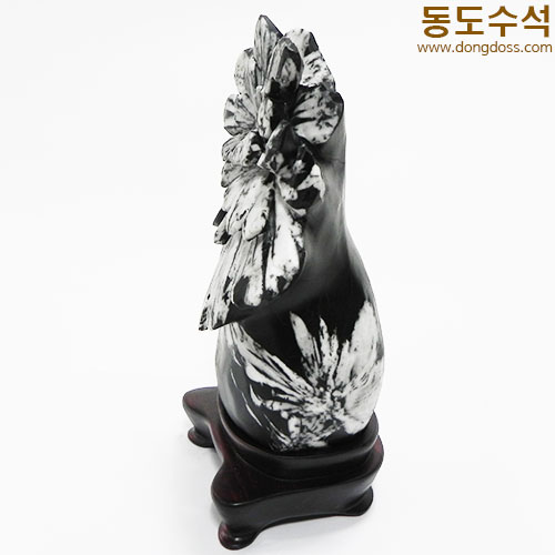 국화석(중국보호석)