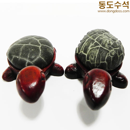 거북쌍