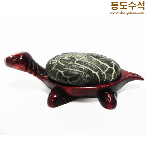 거북쌍