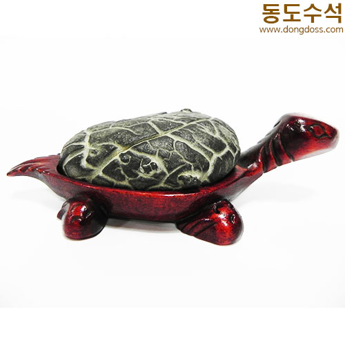 거북쌍