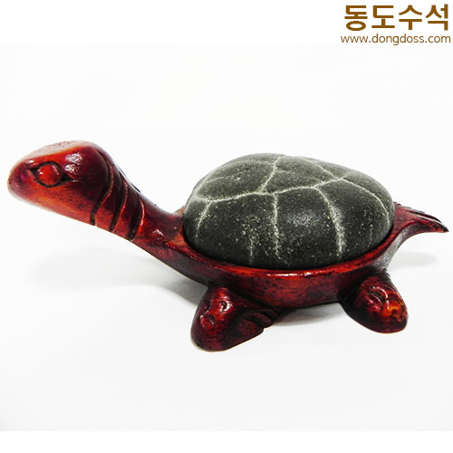 거북쌍
