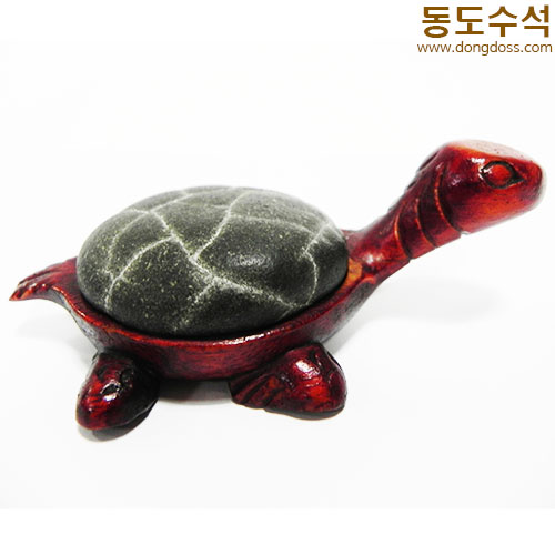 거북쌍