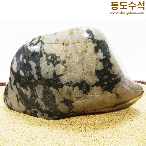 고목나무