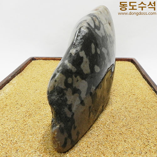 고목나무