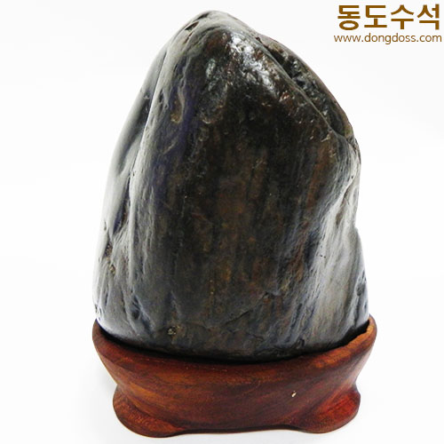 주름쬬코