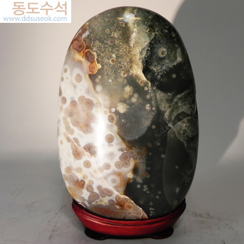 쟈스퍼