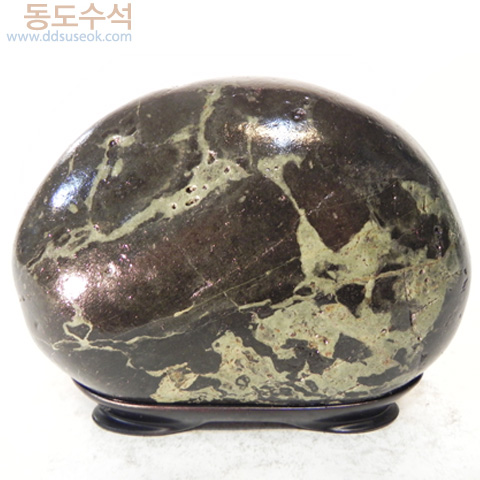 괴석도나무
