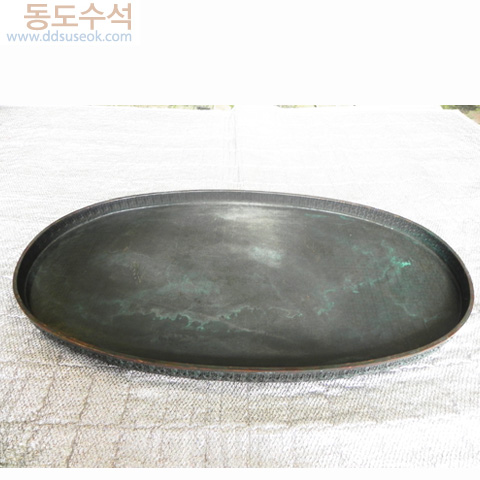 타원형동수반