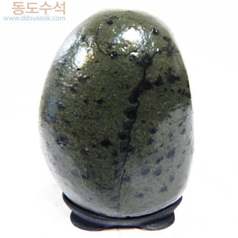 나무(주전1)