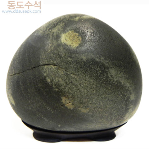 동구박달