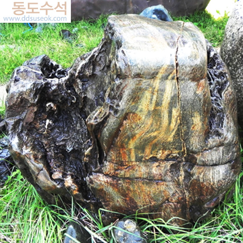 단과골짜기