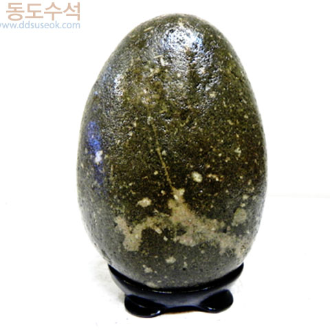 매화나무