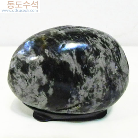 고목나무(소품)