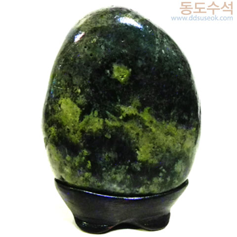 숲속에월