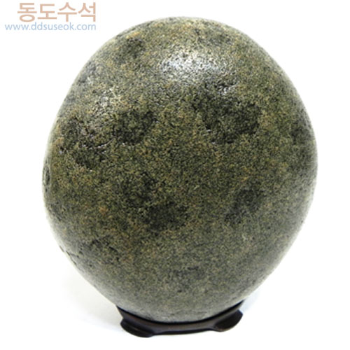 야생화꽃