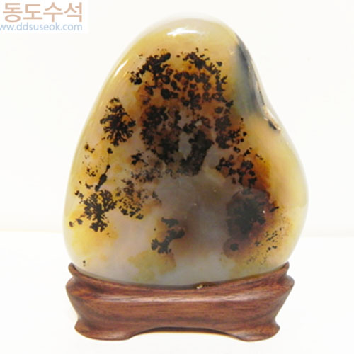 동산(만노)