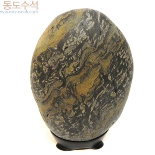 숲속에계곡