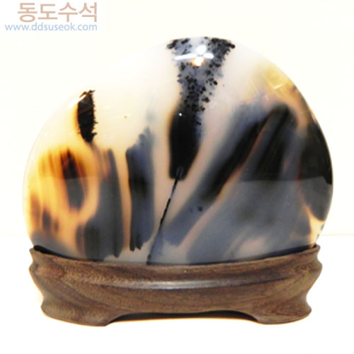 싸리나무