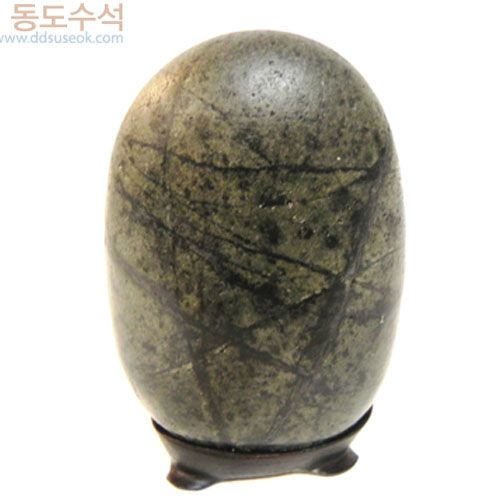 백포모닥불
