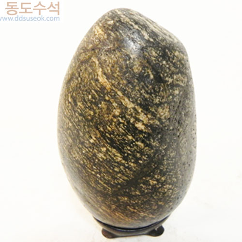 나무와선