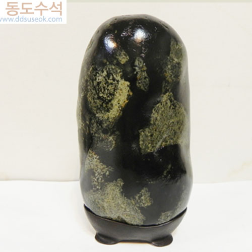 체크칼라