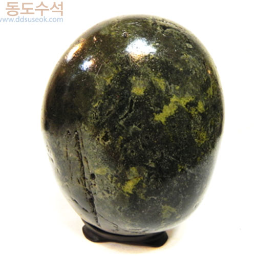 월하에숲