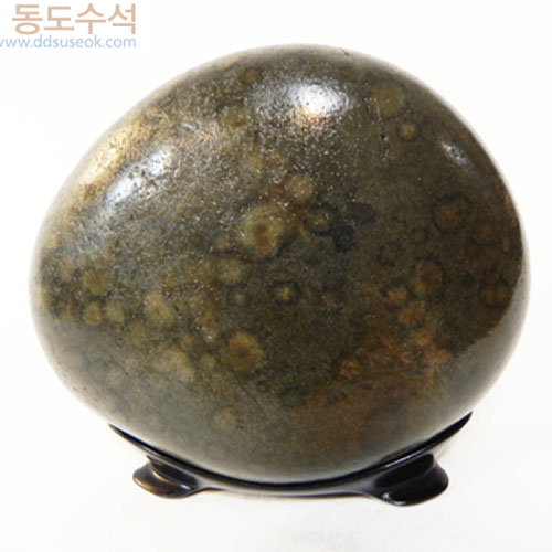 야생화꽃