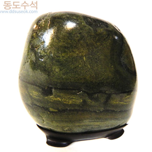 주전청록