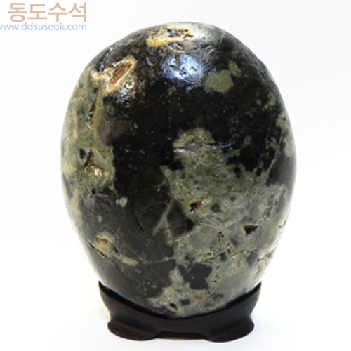 고목나무
