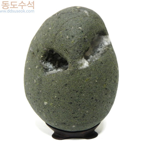 올빼미