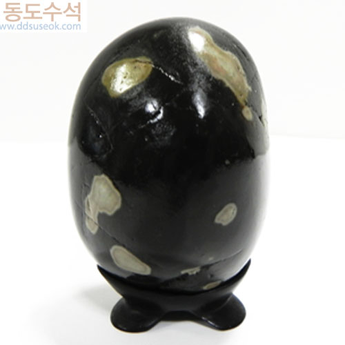 코알라