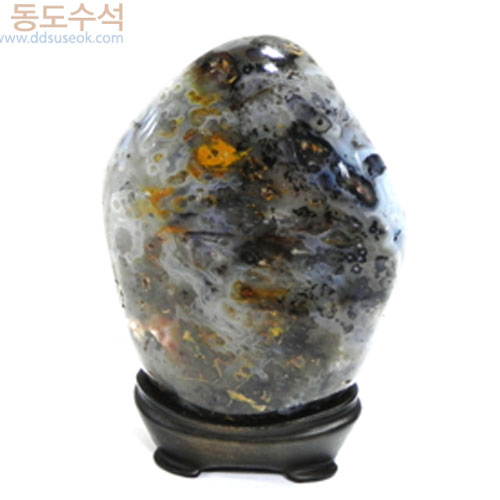 숲속에월
