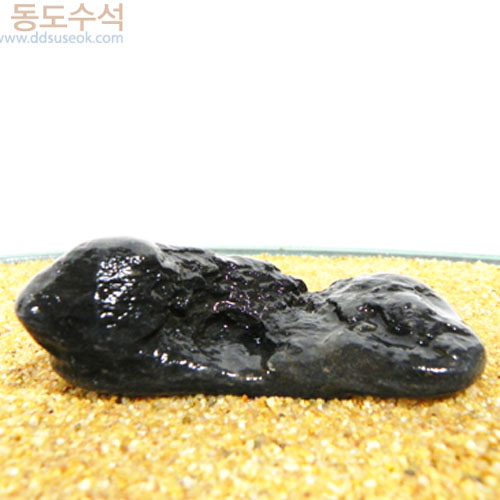 갯바위