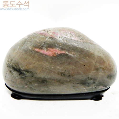 봄이오네요