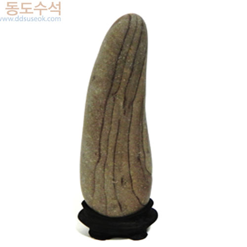 장신