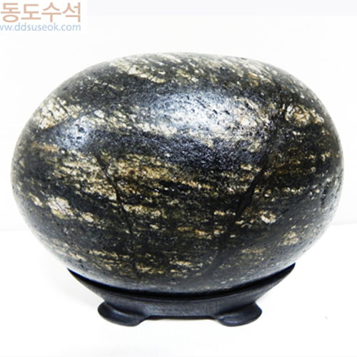 숲속에나무