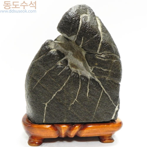 구갑석