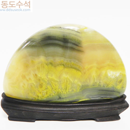 어느봄날(만호석)