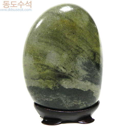 평원에고목나무
