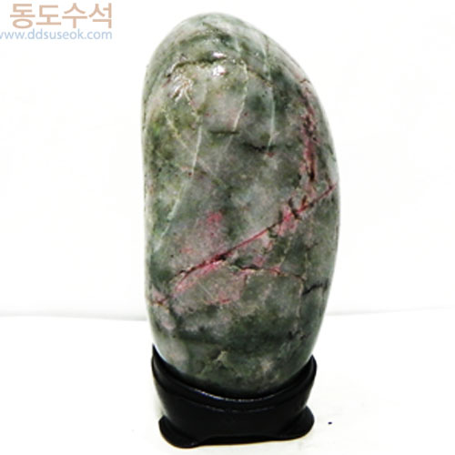 진달레동산(5)
