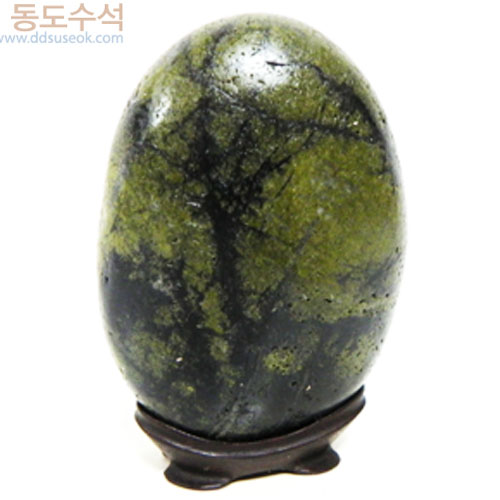 청녹나무