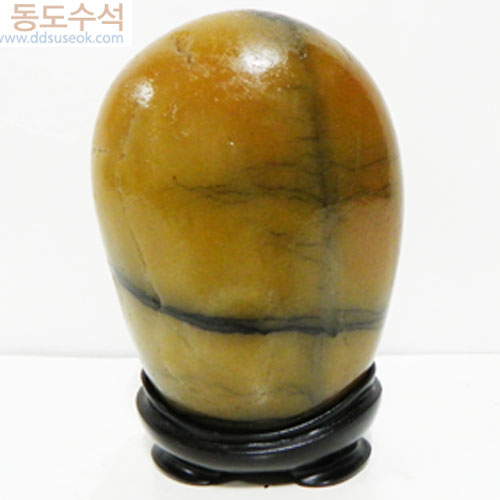 지리산주목나무
