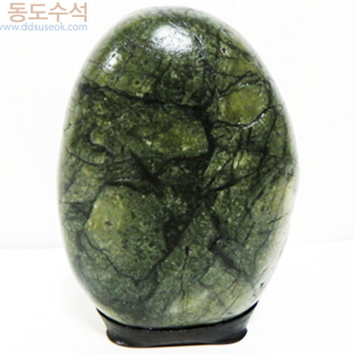 여름나무숲
