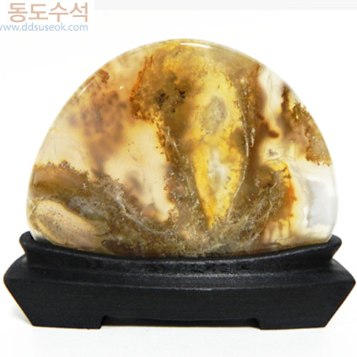 바다풍경