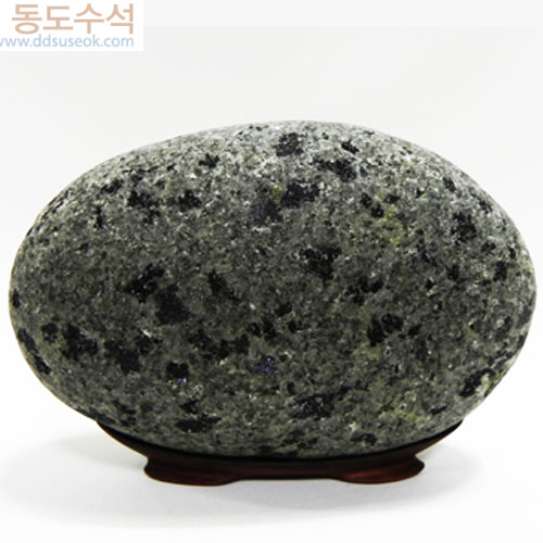 흙국화